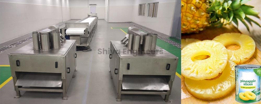 Pineapple Processing Plant manufacturer