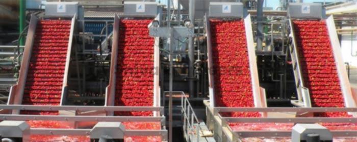 Tomato Processing Plant Manufacturers, Tomato Processing Machinery Suppliers, Tomato Paste Processing Plant, Tomato Product Manufacturing Machinery,